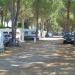 Camping De Vaudois - Bild 7 Camping De Vaudois - Bild 7