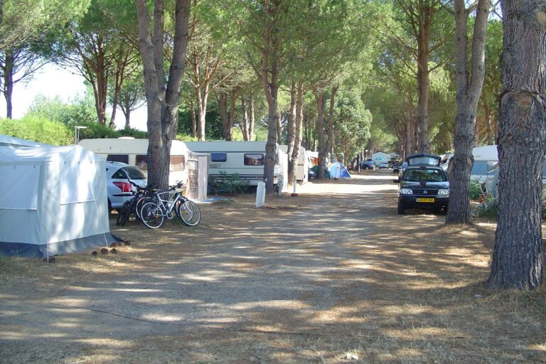 Camping De Vaudois - Bild 7 Camping De Vaudois - Bild 7