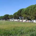 Camping De Vaudois - Bild 8 Camping De Vaudois - Bild 8