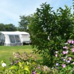 Camping De Wedze - Bild 4