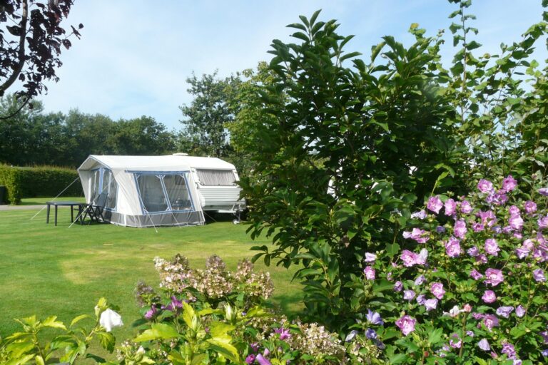 Camping De Wedze - Bild 4