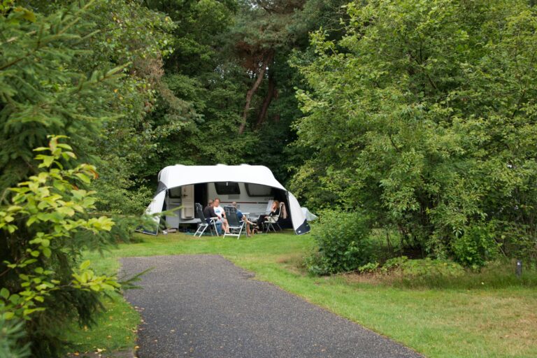 Camping De Wiltzangh - Bild 2