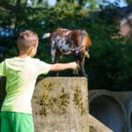 Camping De Wiltzangh - Bild 3