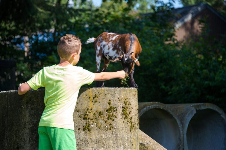 Camping De Wiltzangh - Bild 3