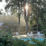 Camping De Wiltzangh - Bild 7