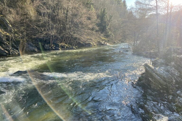 Camping Des Deux Séquoias - Bild 11