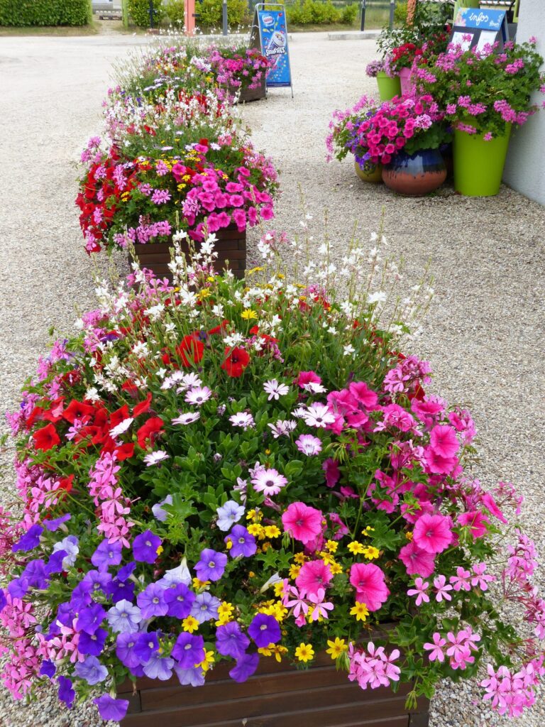 Camping Des Étangs - Bild 9