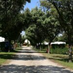 Camping Des Favards - Bild 4 Camping Des Favards - Bild 4