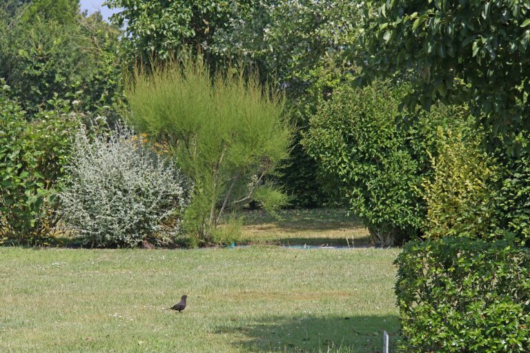 Camping Des Hautes Grées - Bild 6