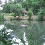 Camping Des Landes D'armagnac - Bild 11