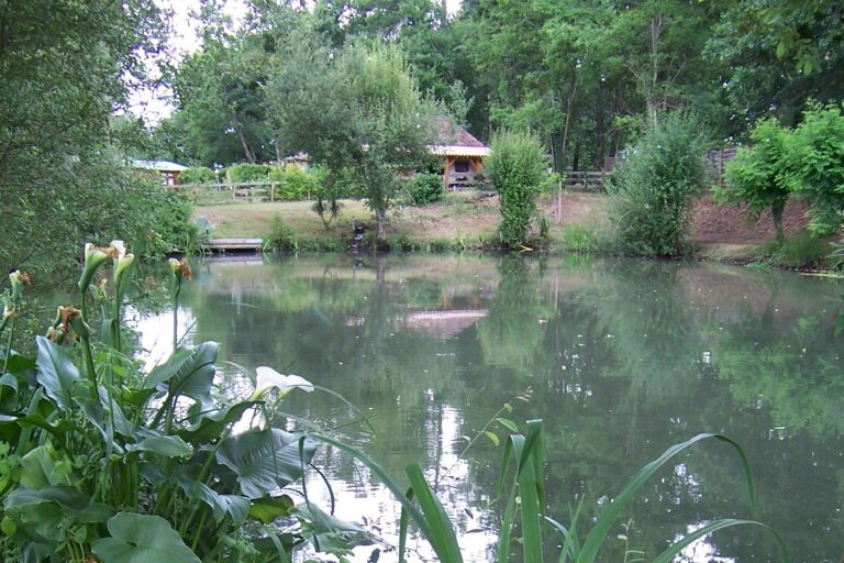 Camping Des Landes D'armagnac - Bild 11