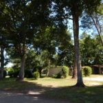 Camping Des Landes D'armagnac - Bild 5