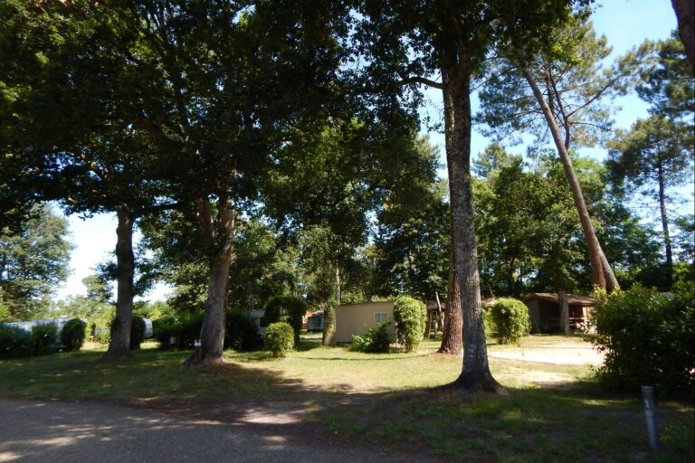 Camping Des Landes D'armagnac - Bild 5