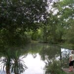 Camping Des Landes D'armagnac - Bild 6