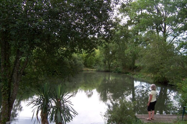 Camping Des Landes D'armagnac - Bild 6