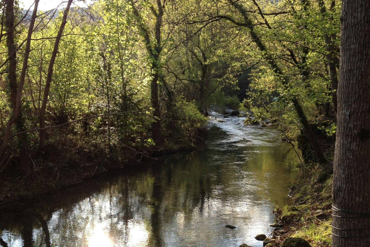 Camping Des Sources - Bild 5 Camping Des Sources - Bild 5