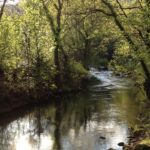 Camping Des Sources - Bild 5 Camping Des Sources - Bild 5