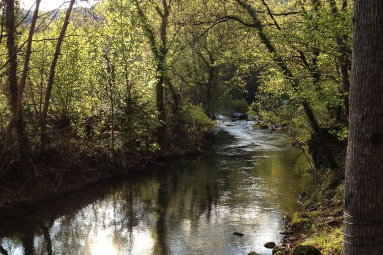 Camping Des Sources - Bild 5 Camping Des Sources - Bild 5