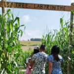 Camping Des Tourbières - Bild 8