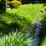 Camping Dörpen - Bild 10 Camping Dörpen - Bild 10