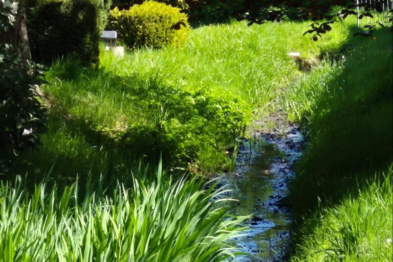 Camping Dörpen - Bild 10 Camping Dörpen - Bild 10