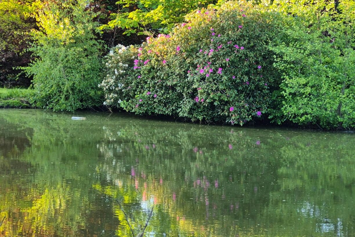 Camping Dörpen - Bild 2 Camping Dörpen - Bild 2