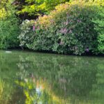 Camping Dörpen - Bild 2 Camping Dörpen - Bild 2