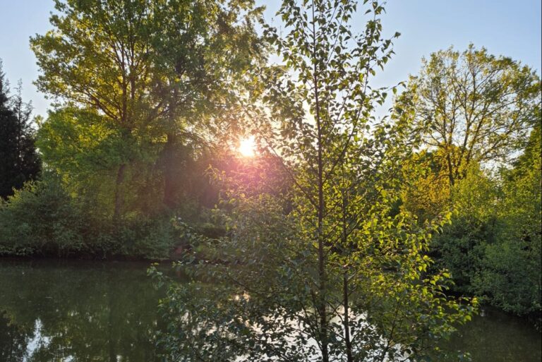 Camping Dörpen - Bild 8 Camping Dörpen - Bild 8