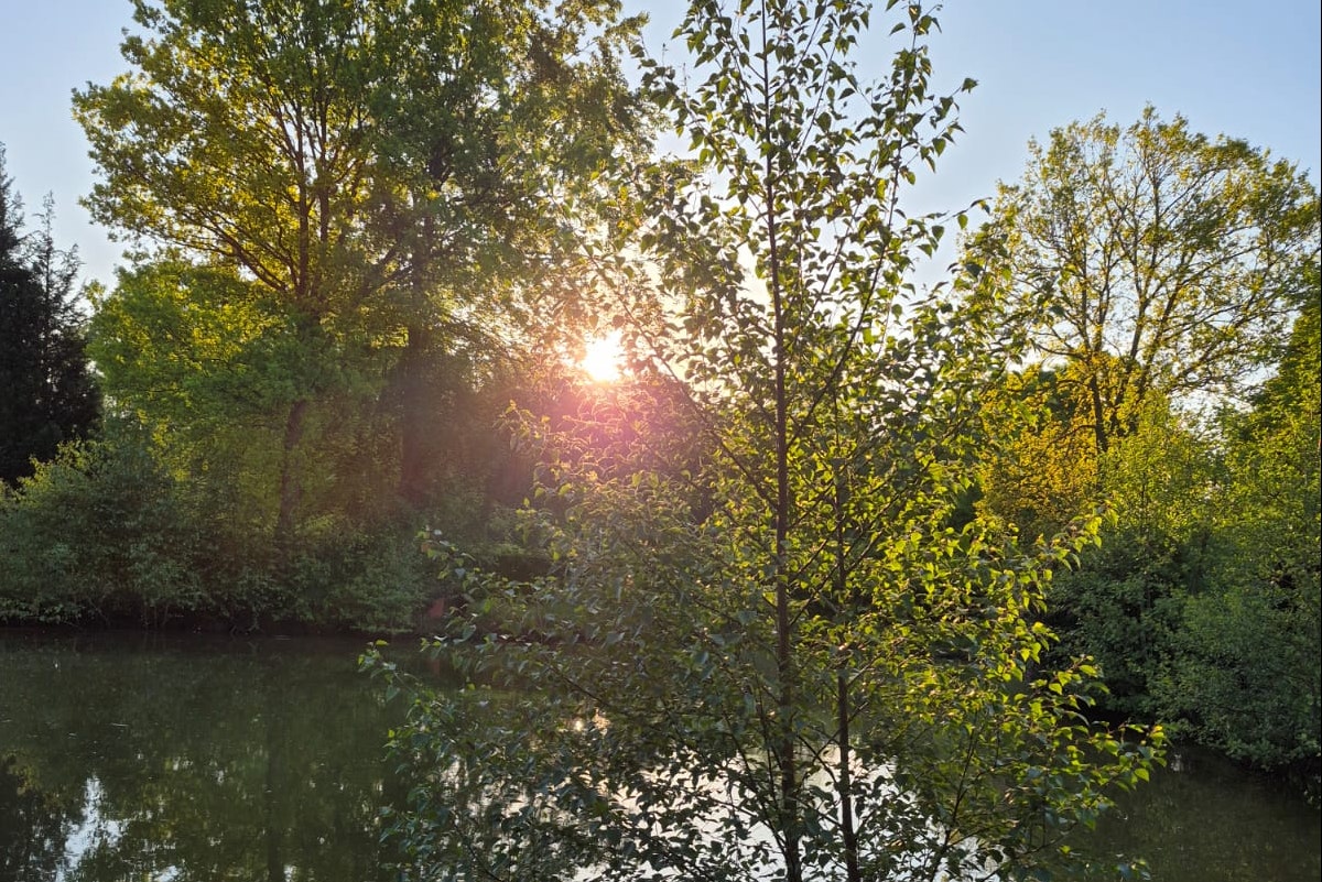 Camping Dörpen - Bild 8 Camping Dörpen - Bild 8