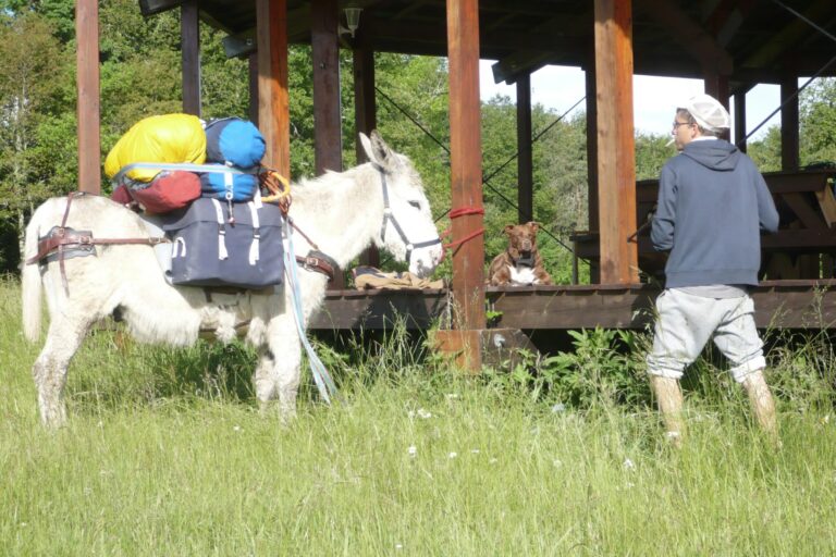 Camping Domaine De Corneuil - Bild 7