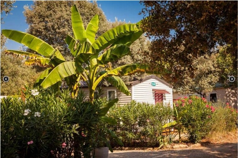 Camping Domaine De Gajan - Bild 2 Camping Domaine De Gajan - Bild 2