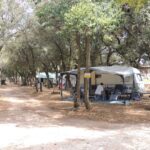 Camping Domaine De Gajan - Bild 8 Camping Domaine De Gajan - Bild 8