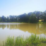 Camping Domaine De Mépillat - Bild 8