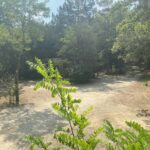 Camping Domaine Des Bords De Cèze - Bild 18 Camping Domaine Des Bords De Cèze - Bild 18