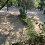 Camping Domaine Des Bords De Cèze - Bild 20 Camping Domaine Des Bords De Cèze - Bild 20