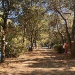 Camping Domaine Des Bords De Cèze - Bild 4 Camping Domaine Des Bords De Cèze - Bild 4