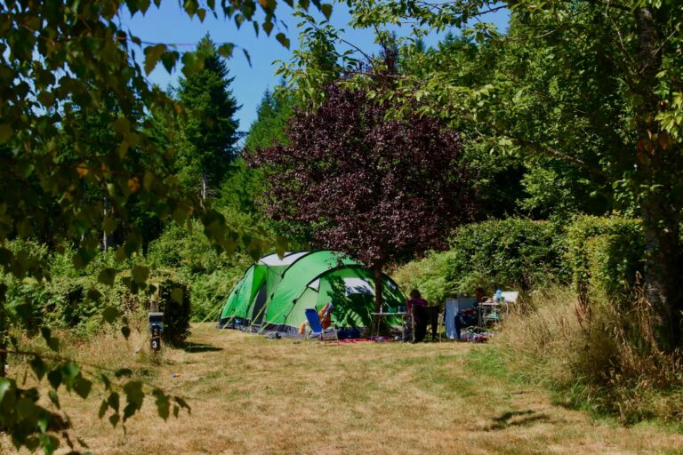 Camping Domaine La Chabanne - Bild 5