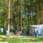 Camping Domaine La Garenne - Bild 20