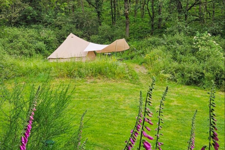 Camping Drei Spatzen - Bild 17 Camping Drei Spatzen - Bild 17