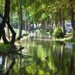 Camping Du Buisson - Bild 12