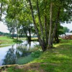 Camping Du Buisson - Bild 3