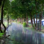 Camping Du Buisson - Bild 4