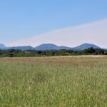 Camping Du Colombier - Bild 12