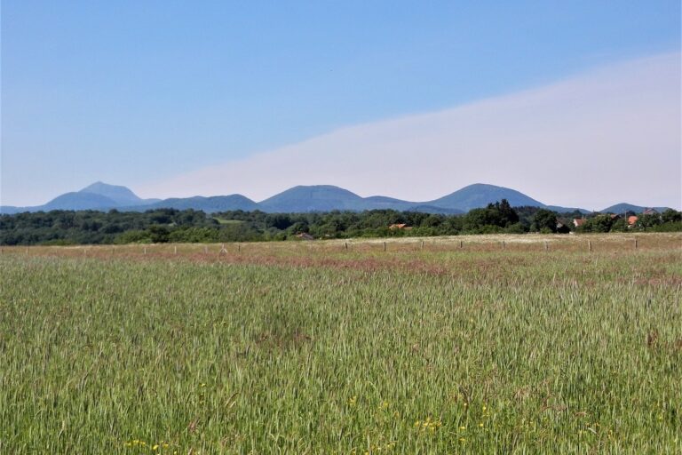 Camping Du Colombier - Bild 12