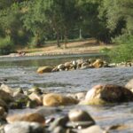 Camping Du Domaine D'anglas - Bild 13