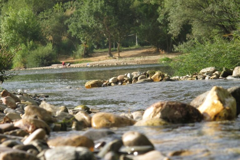 Camping Du Domaine D'anglas - Bild 13