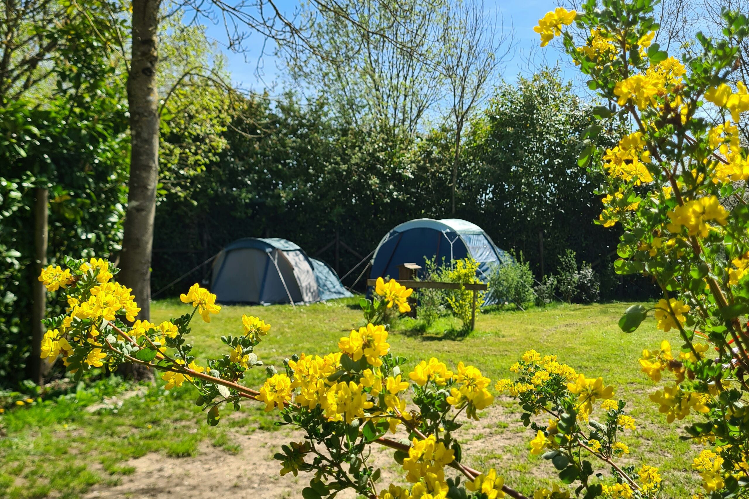 Camping Du Perche - Bild 2