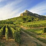 Camping Du Pont De Bourgogne - Bild 3