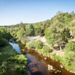 Camping Du Pont De Braye - Bild 2