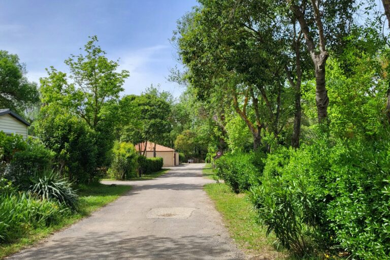 Camping Du Val De Cesse - Bild 3